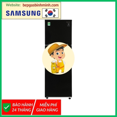 Tủ lạnh Samsung Inverter 256 lít RT25M4032BU/SV