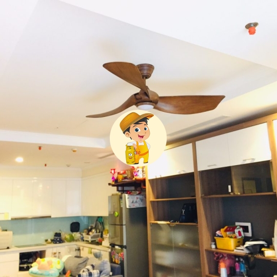 Quạt trần cho người giàu Melody