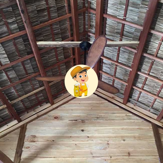 Quạt trần cho người giàu EAGLE 60