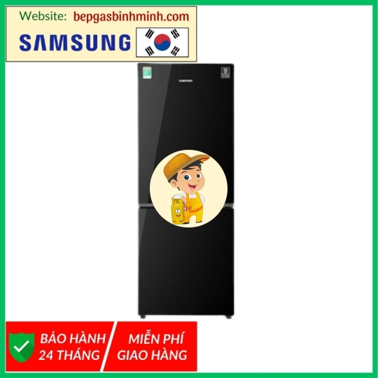 Tủ lạnh Samsung Inverter 280 lít RB27N4010BU/SV