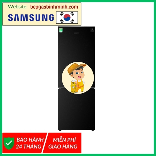 Tủ lạnh Samsung Inverter 310 lít RB30N4010BU/SV