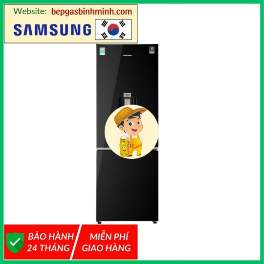 Tủ lạnh Samsung Inverter 307 lít RB30N4190BU/SV