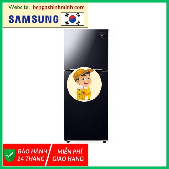 Tủ lạnh Samsung Inverter 208 lít RT20HAR8DBU/SV