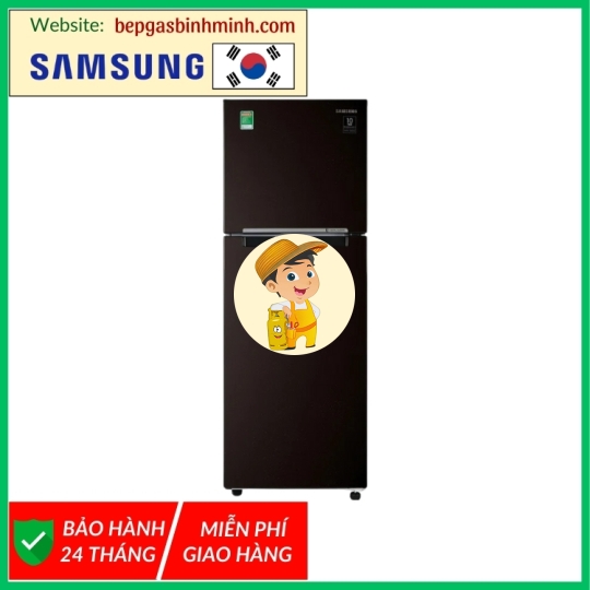 Tủ lạnh Samsung Inverter 236 lít RT22M4032BY/SV