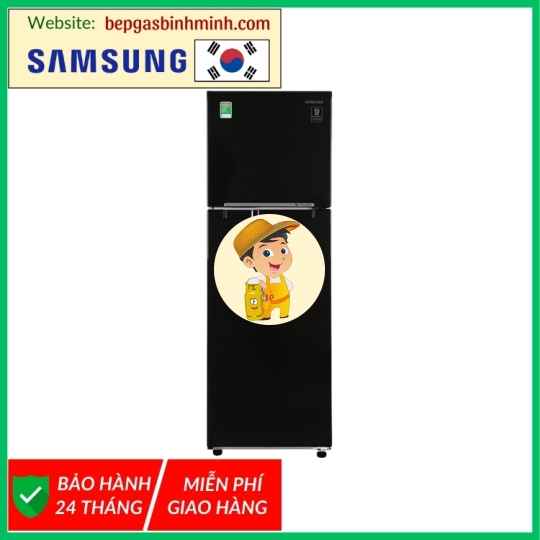Tủ lạnh Samsung Inverter 256 lít RT25M4032BU/SV