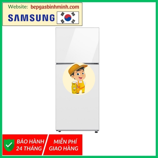 Tủ lạnh Samsung Inverter 385 lít Bespoke RT38CB668412SV